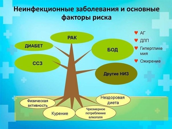 Профилактика неинфекционных заболеваний..